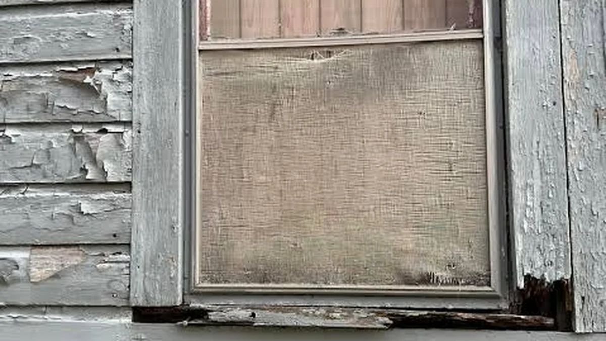 Peeling lead paint on original window trim of a pre-1940 Seattle home