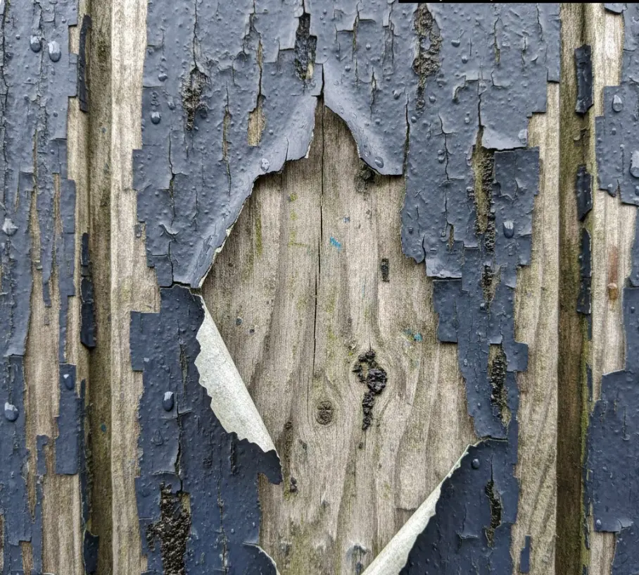 Example of exterior paint failure in Seattle due to improper techniques